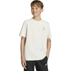 imageadidas Boys Marvel SpiderMan Graphics TShirtOff WhiteRay BlueAvengers