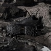 image:imageadidas Mens Terrex Skychaser Ax5 Goretex Hiking ShoesBlackBlackCarbon