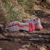 image:imageadidas Womens Terrex Soulstride Rainrdy Trail Running ShoesPutty MauveOff WhitePure Ruby