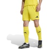 Team Yellow/Black
