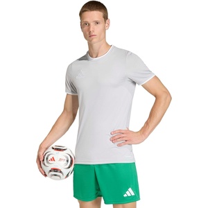 image:imageadidas Mens Entrada 26 JerseyTeam Light GreyWhite