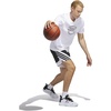 image:imageadidas Mens Pro Motion Basketball ShortsBlackWhite