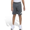 image:imageadidas Boys Essentials Big Logo Active ShortsGrey Six