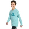image:imageadidas Boys Long Sleeve Hooded Snow Heather TeeTeal Dust