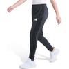 image:imageadidas Girls Melange 3Stripe JoggerGrey With Black Mlange