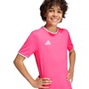 image:imageadidas UnisexKids Entrada 26 JerseySolar PinkWhite