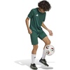 image:imageadidas UnisexKids Entrada 26 JerseyTeam Dark GreenWhite