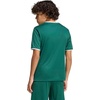 image:imageadidas UnisexKids Entrada 26 JerseyTeam Dark GreenWhite