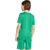 image:imageadidas UnisexKids Entrada 26 JerseyTeam GreenWhite