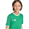image:imageadidas UnisexKids Entrada 26 JerseyTeam GreenWhite