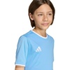 image:imageadidas UnisexKids Entrada 26 JerseyTeam Light BlueWhite