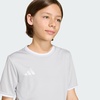 image:imageadidas UnisexKids Entrada 26 JerseyTeam Light GreyWhite