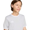 image:imageadidas UnisexKids Entrada 26 JerseyTeam Light GreyWhite