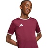 image:imageadidas UnisexKids Entrada 26 JerseyTeam MaroonWhite