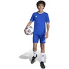 image:imageadidas UnisexKids Entrada 26 JerseyTeam Royal BlueWhite