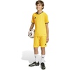 image:imageadidas UnisexKids Entrada 26 JerseyTeam YellowBlack