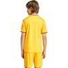 image:imageadidas UnisexKids Entrada 26 JerseyTeam YellowBlack