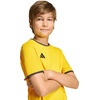 image:imageadidas UnisexKids Entrada 26 JerseyTeam YellowBlack