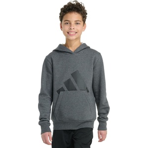 image:imageadidas Boys Long Sleeve Essential Big Logo Fleece Pullover HoodieDark Grey Heather