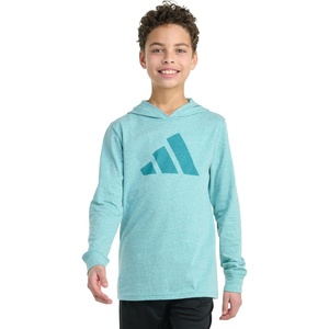image:imageadidas Boys Long Sleeve Hooded Snow Heather TeeTeal Dust