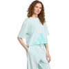 image:imageadidas Womens Essentials Big Logo Boyfriend TShirtHalo MintFlash Aqua