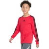 image:imageadidas Boys Long Sleeve Small Embroidered Logo 3Stripe TeePure Ruby