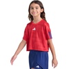 image:imageadidas Girls Short Sleeve Printed World Cup Soccer TopB Red