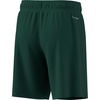 image:imageadidas UnisexKids Entrada 26 ShortsTeam Dark GreenWhite