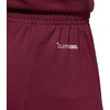 image:imageadidas UnisexKids Entrada 26 ShortsTeam MaroonWhite