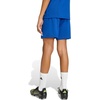 image:imageadidas UnisexKids Entrada 26 ShortsTeam Royal BlueWhite