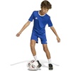 image:imageadidas UnisexKids Entrada 26 ShortsTeam Royal BlueWhite