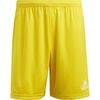 Team Yellow