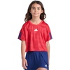 image:imageadidas Girls Short Sleeve Printed World Cup Soccer TopB Red