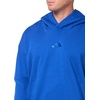 image:imageadidas mens All Szn Fleece Loose HoodieTeam Royal Blue
